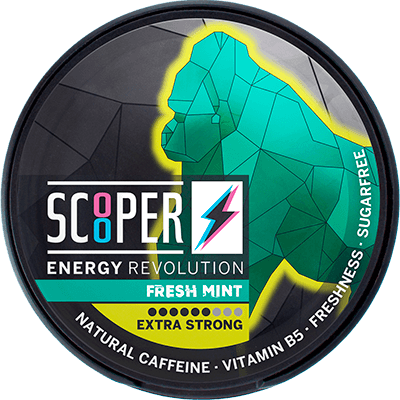 Scooper Energy Fresh Mint
